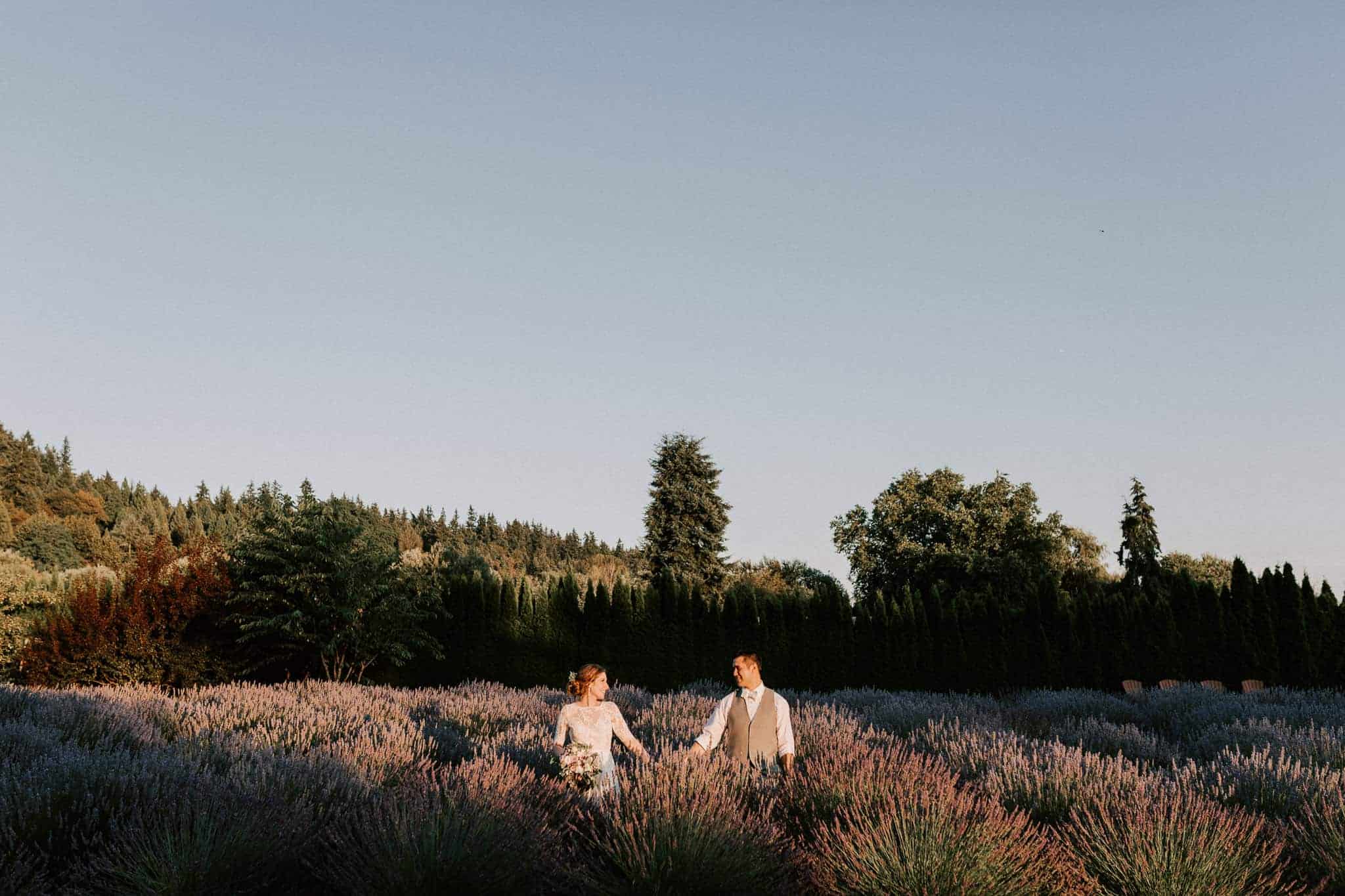 Woodinville Lavender Farm wedding venue at sunset by Kyle Goldie of Luma Weddings