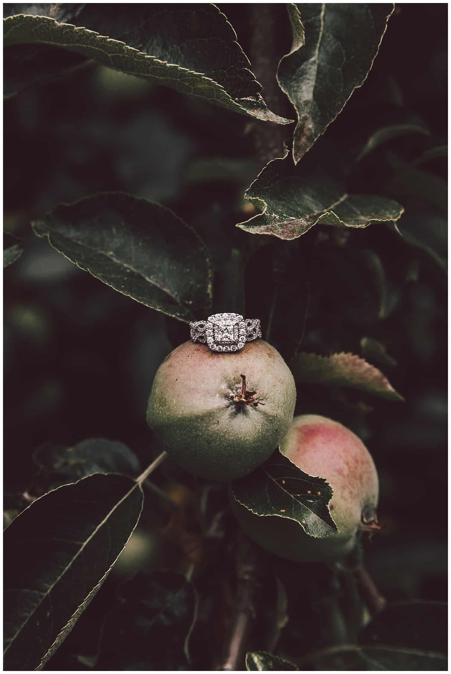 Beautiful ring photo on this Apple orchard from the Wayfarer wedding venue
