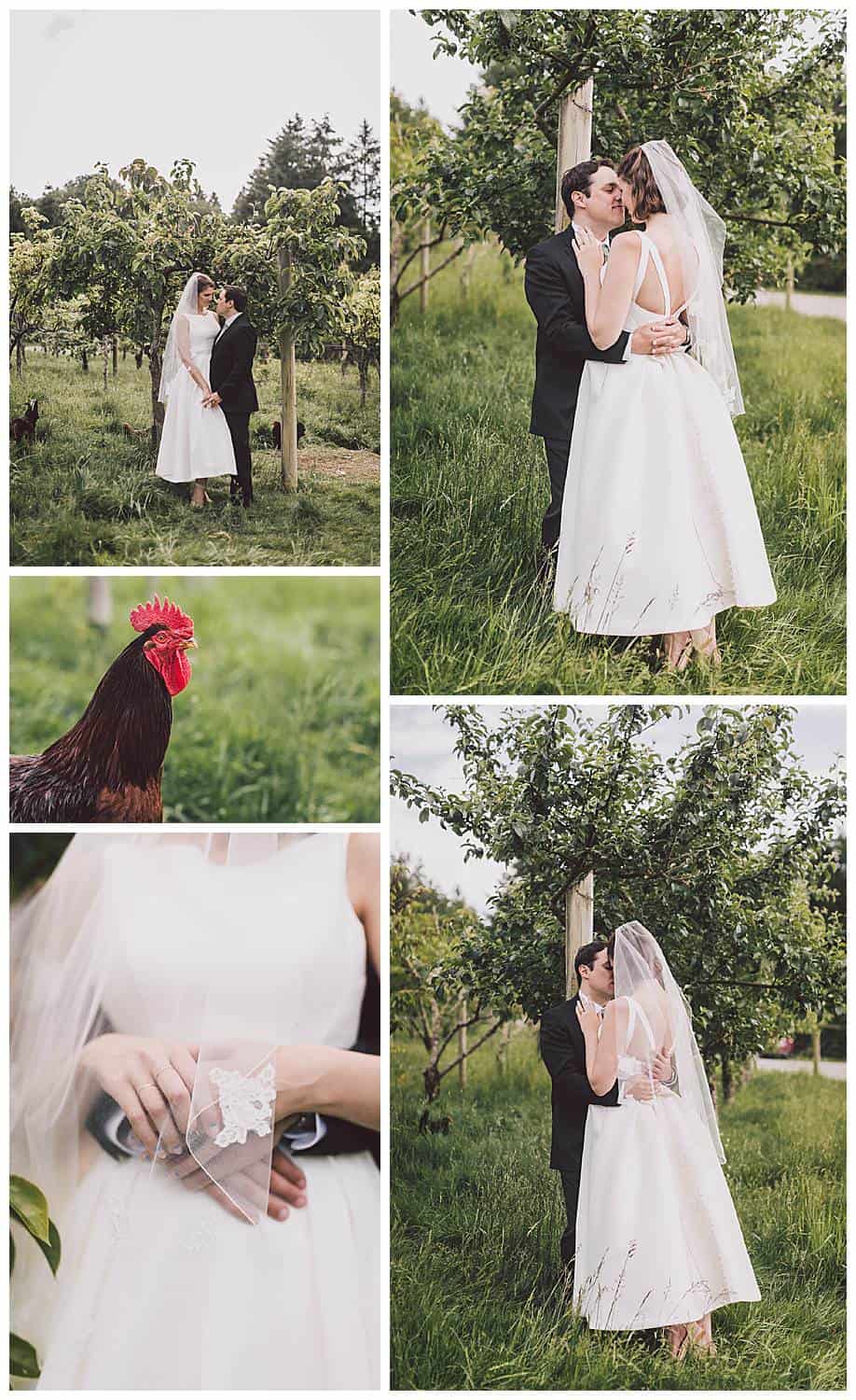 Old Chaser Farm wedding photos by Seattle wedding photographer Luma Weddings